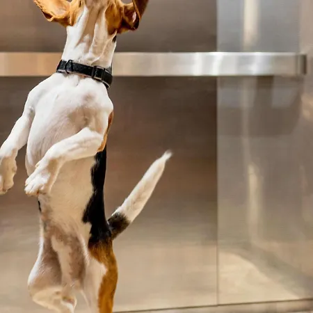 Ibis Centre Opera 3* Liege