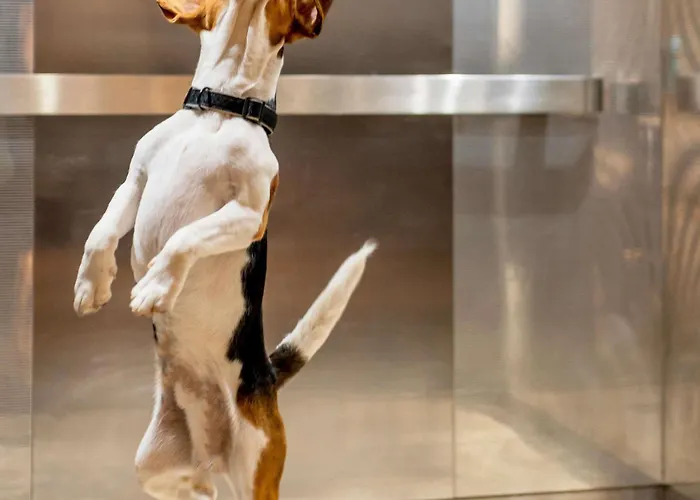 Ibis Centre Opera 3* Liege