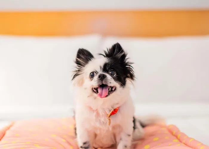 Ibis Centre Opera Hotel 3*